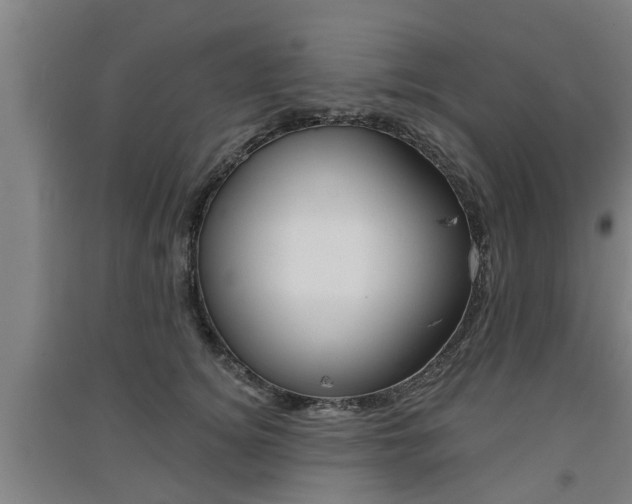 X0000091510756200708170949