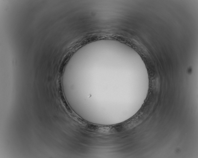 X0000091510757200708170949