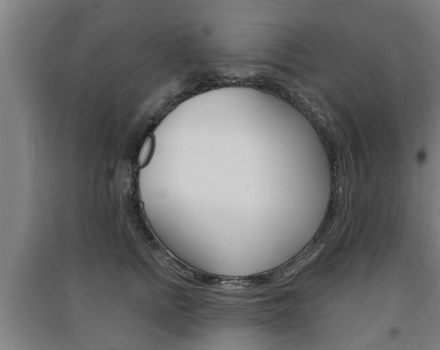 X0000091510758200708170949