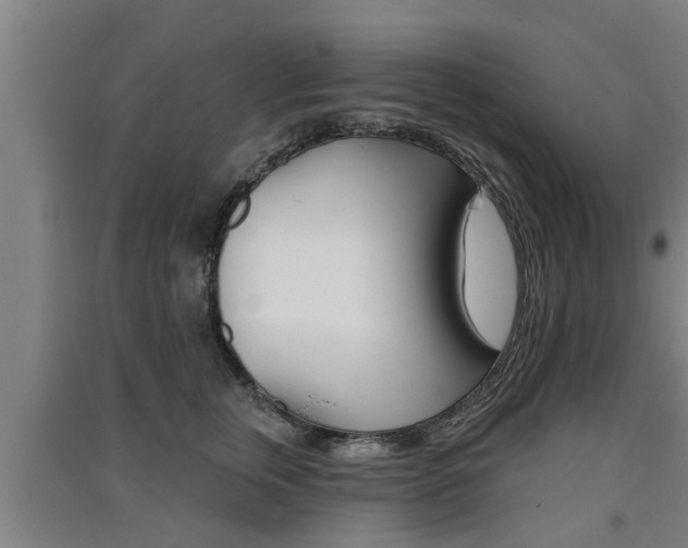 X0000091510759200708170949
