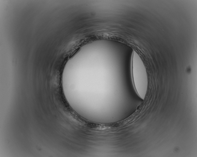 X0000091510760200708170949