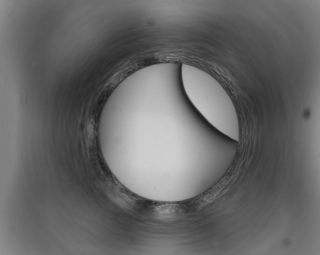 X0000091510761200708170949