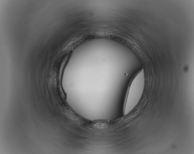 X0000091510762200708170949
