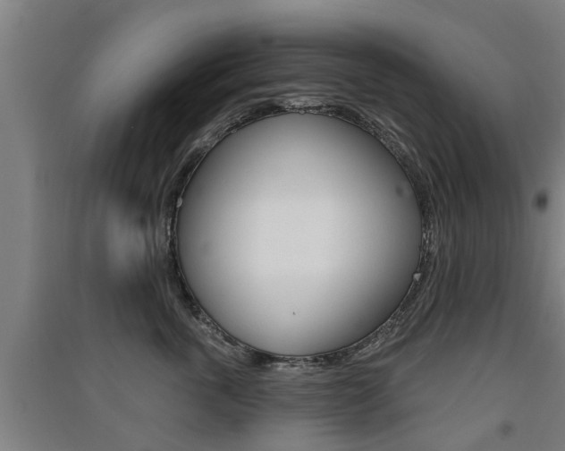 X0000091510763200708170949