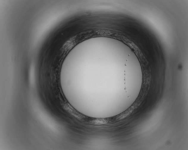 X0000091510765200708170949