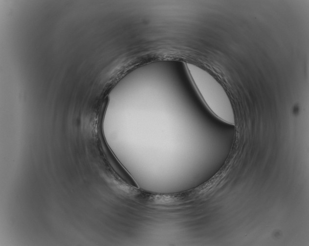 X0000091510766200708170949
