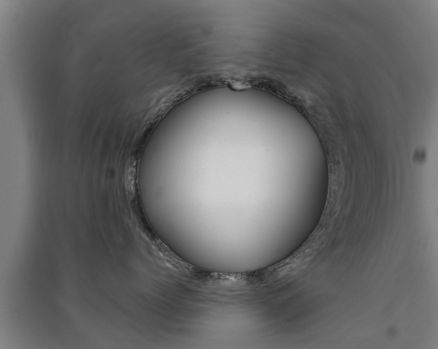 X0000091510768200708170949
