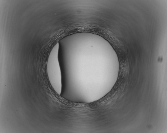 X0000091510770200708170948