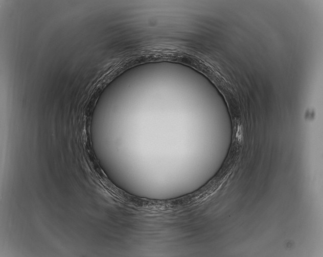 X0000091510771200708170948