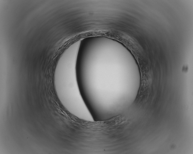 X0000091510773200708170948