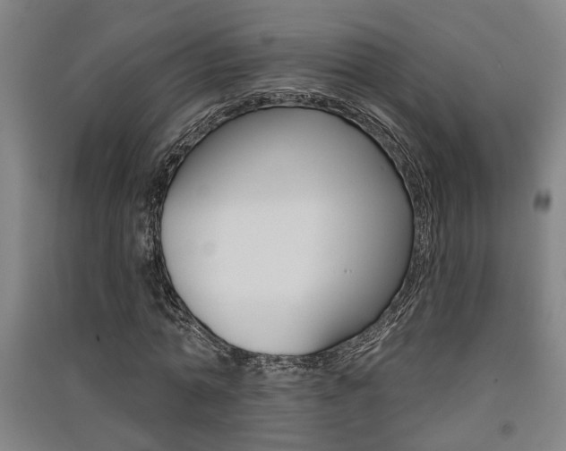 X0000091510774200708170948
