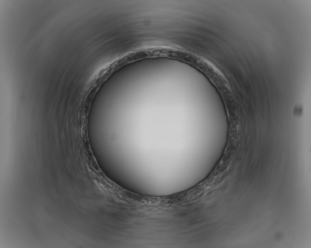 X0000091510775200708170948