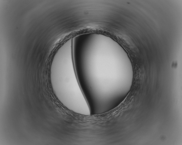 X0000091510776200708170948
