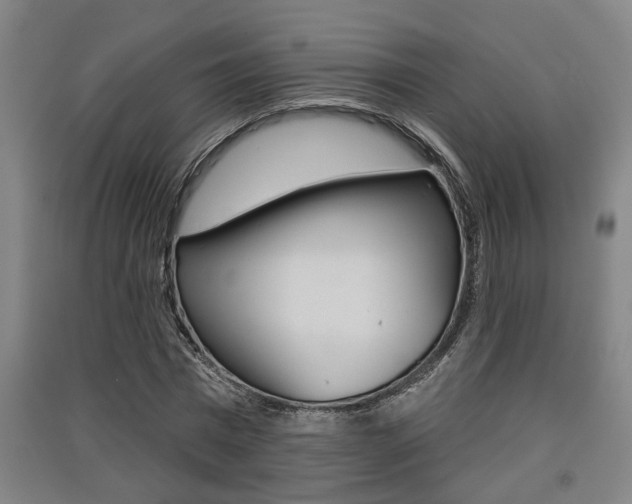 X0000091510777200708170948