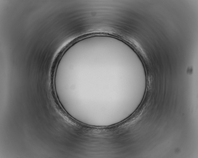 X0000091510780200708170948