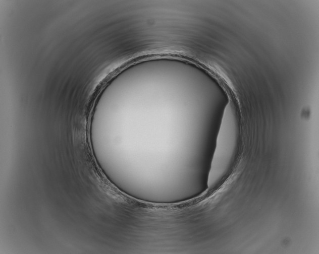 X0000091510781200708170948