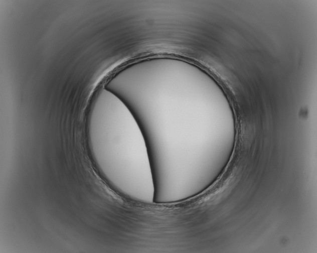 X0000091510782200708170948