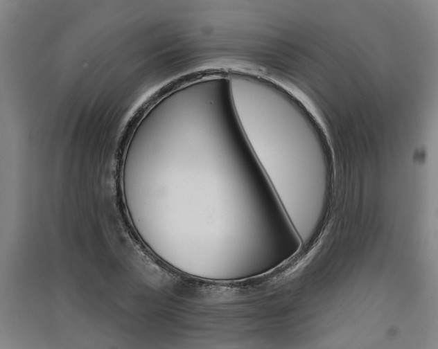 X0000091510783200708170948