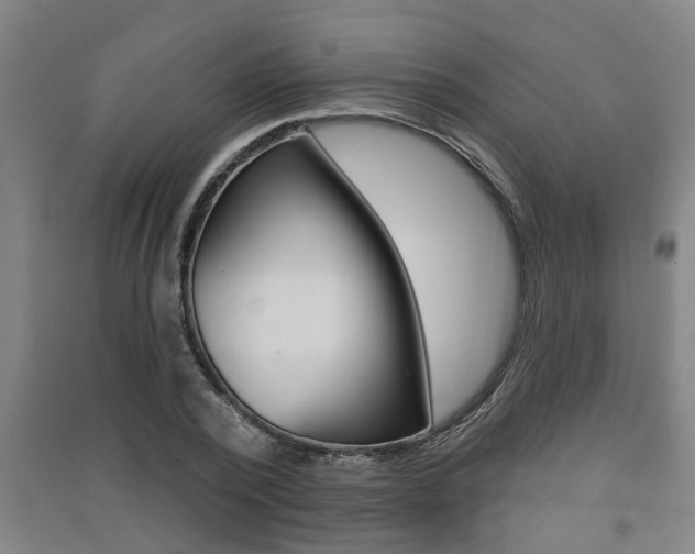X0000091510784200708170948