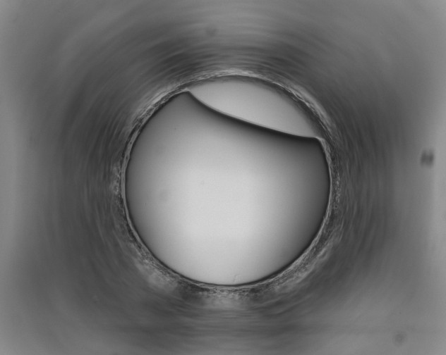 X0000091510785200708170948