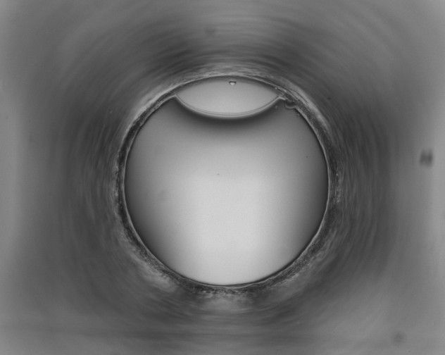 X0000091510786200708170948