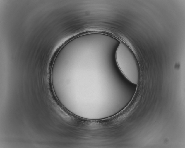 X0000091510787200708170948