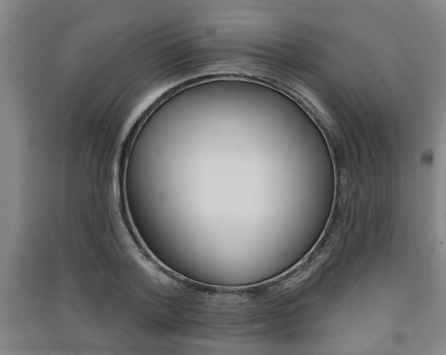 X0000091510788200708170948