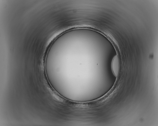 X0000091510789200708170948