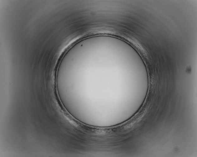 X0000091510790200708170948
