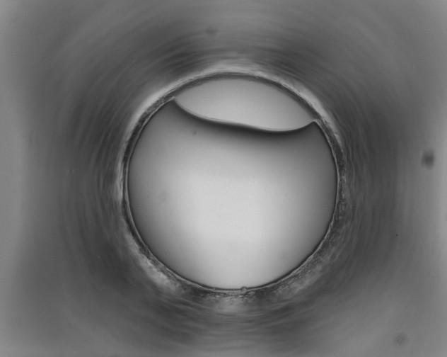 X0000091510791200708170948