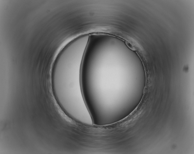 X0000091510792200708170948