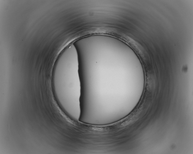 X0000091510794200708170948