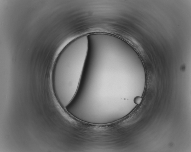 X0000091510796200708170948