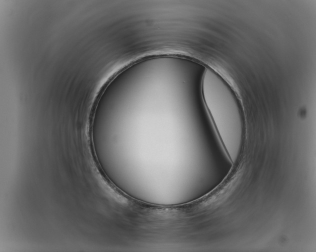 X0000091510797200708170948