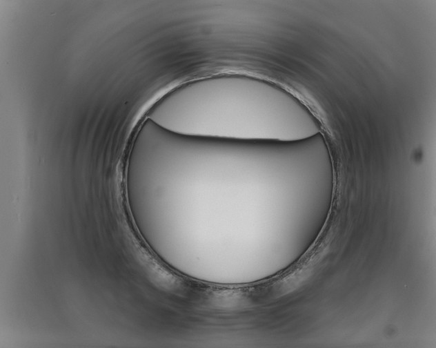 X0000091510798200708170948