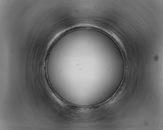 X0000091510799200708170948