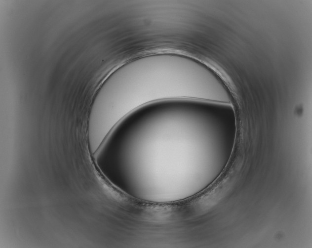 X0000091510801200708170948