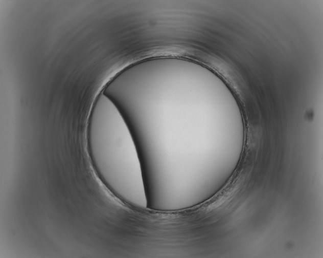 X0000091510802200708170948