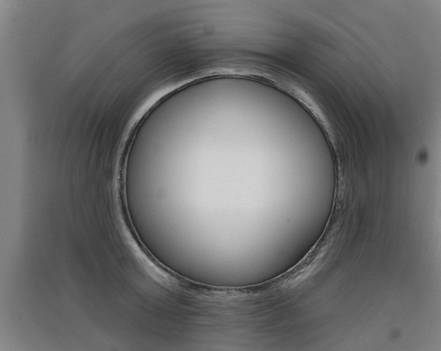 X0000091510803200708170948