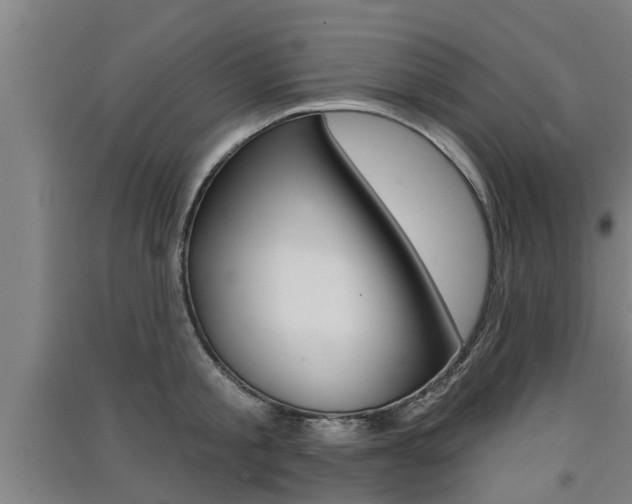 X0000091510805200708170948