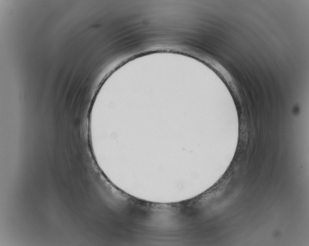 X0000091510807200708170948