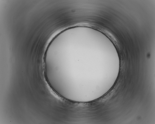 X0000091510808200708170948