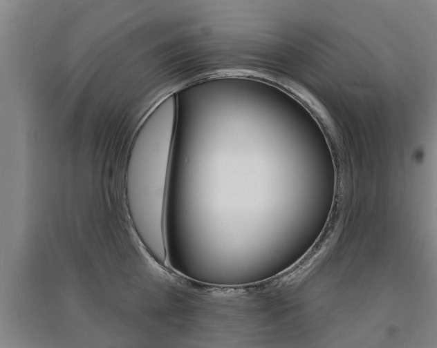 X0000091510809200708170948