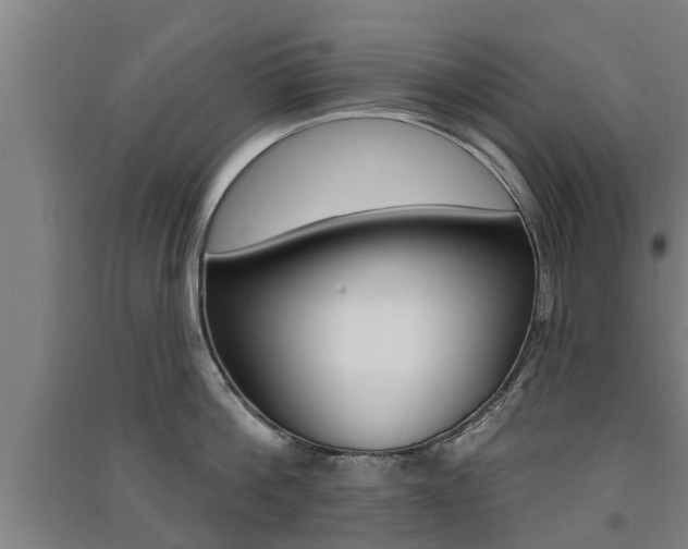 X0000091510812200708170948