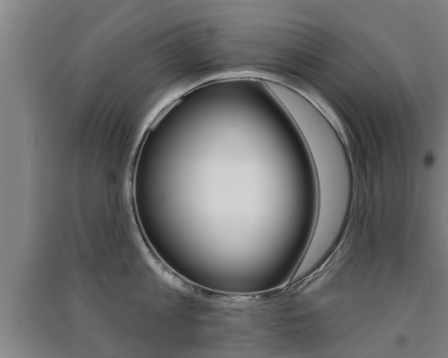 X0000091510813200708170948