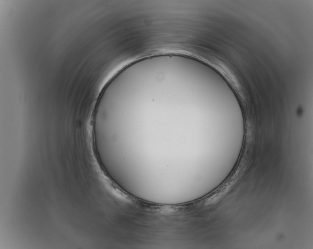 X0000091510814200708170948