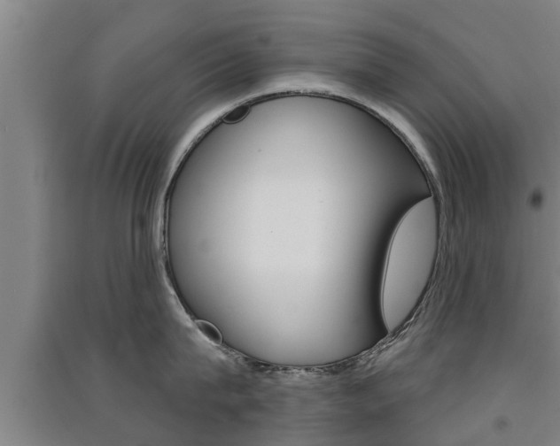 X0000091510815200708170948