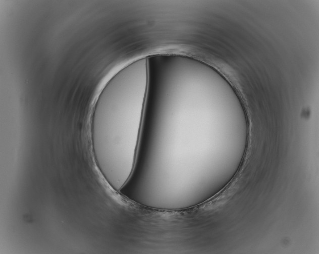 X0000091510816200708170948