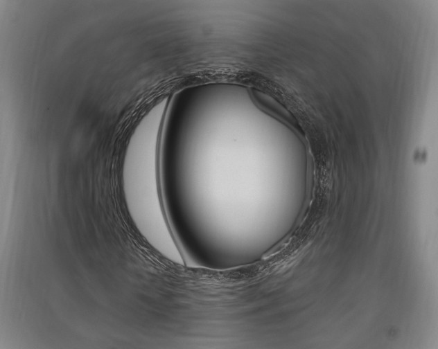 X0000091510818200708170947