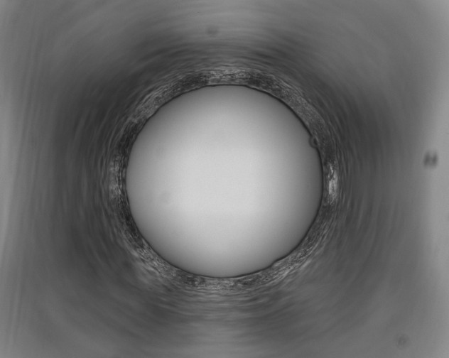 X0000091510819200708170947